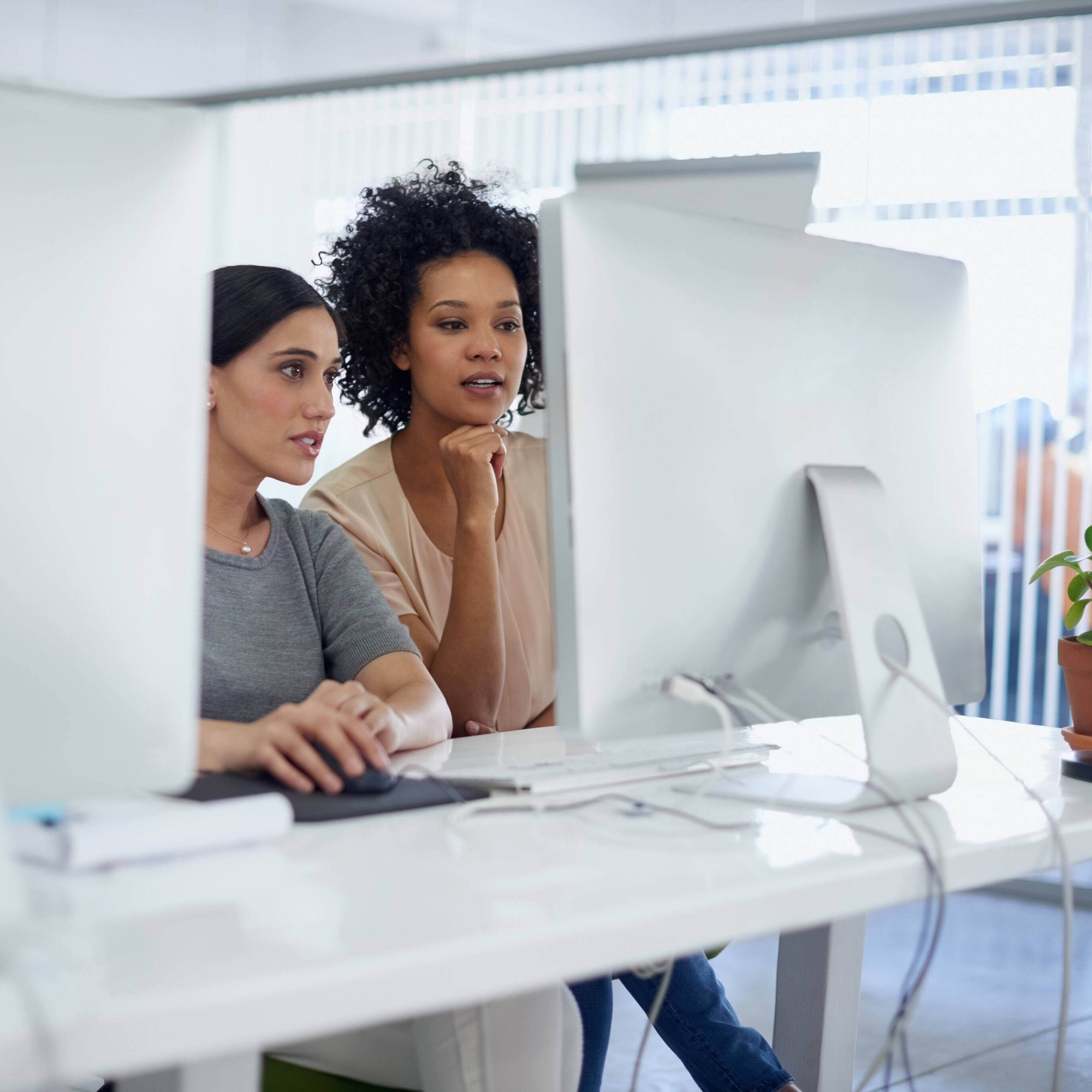 CPAs working on computer
